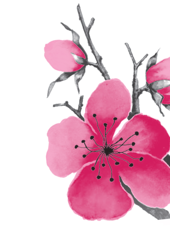 Black and White Tea Background Product Highlight Image