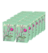 Green Tea .07 oz Drink Mix Sticks Case Shot