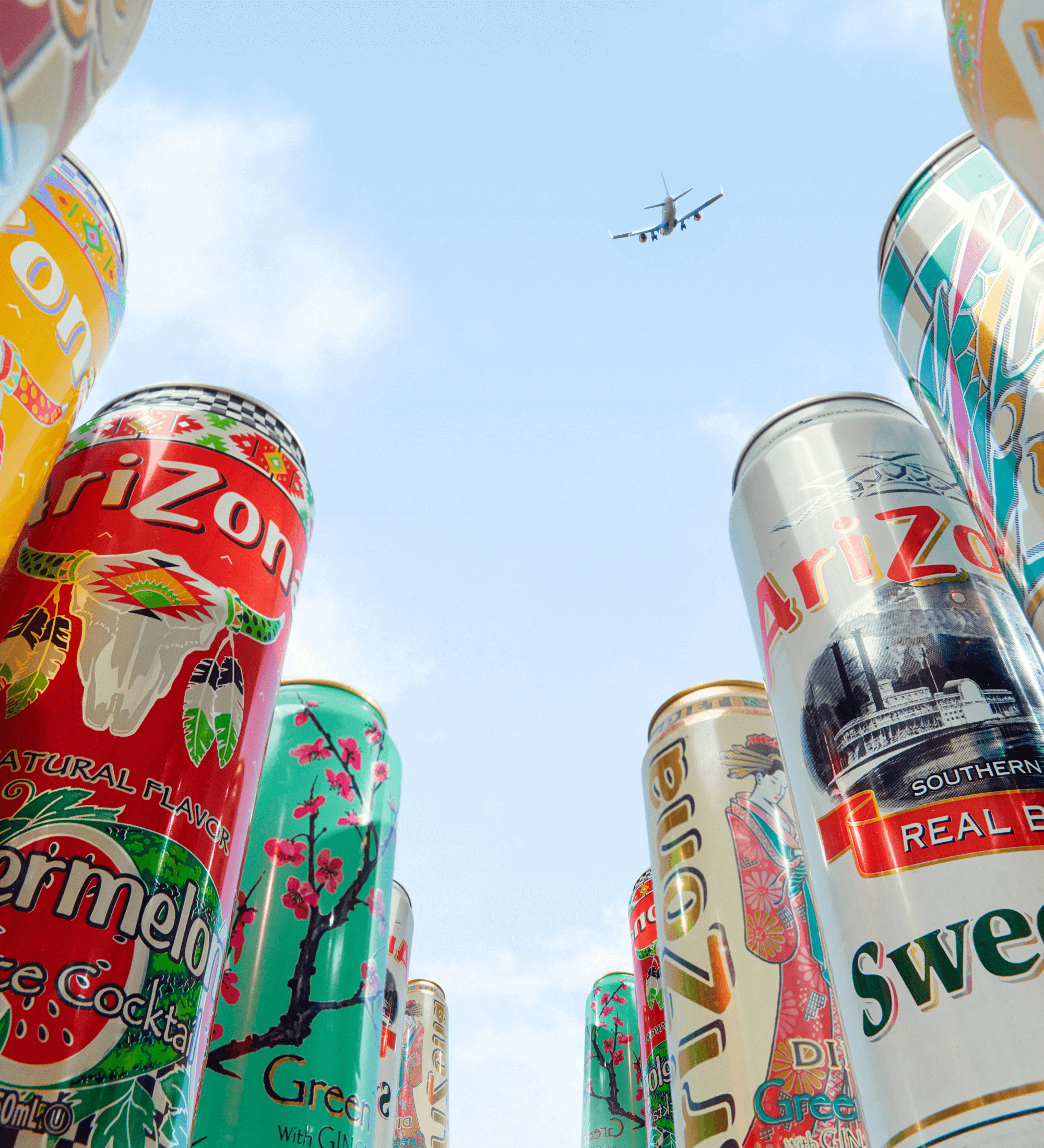 Mystery Big Can Variety 22oz Lifestyle Image