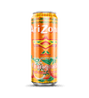 Orangeade 22oz Big Can Single Shot