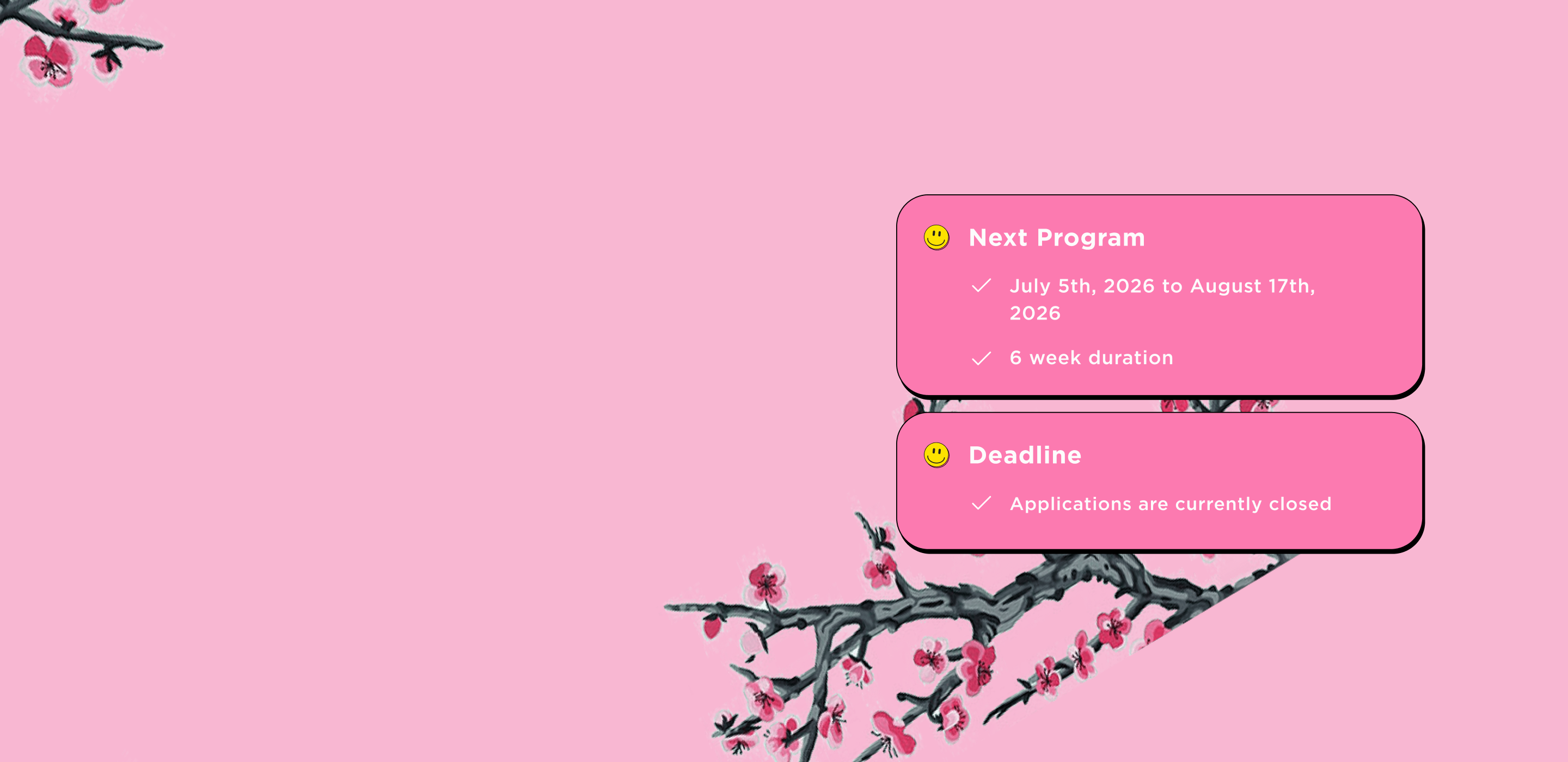 A pink digital graphic with two rounded pink boxes containing text about a next program and deadline, decorated with cherry blossom branches in the corners.