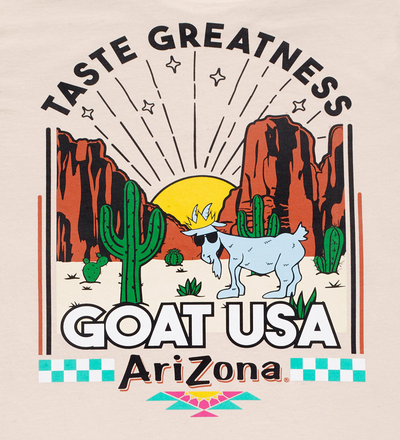 Arizona x goat desert shirt back detail