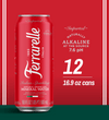 Ferrarelle Italian Sparkling Water | 16.9 oz. / 12-pack