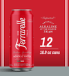 Ferrarelle Italian Sparkling Water | 16.9 oz. / 12-pack
