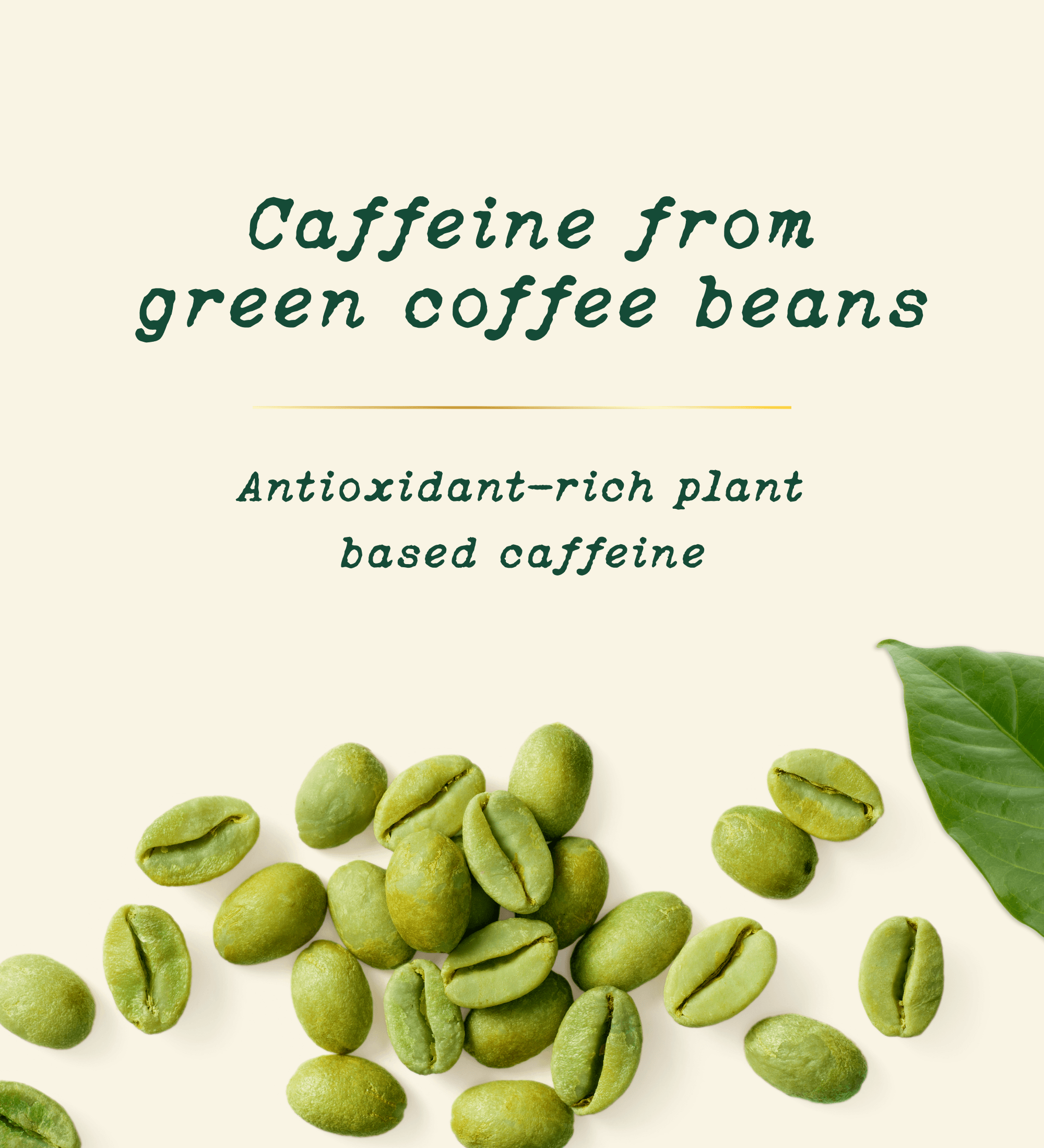 Text reading 'Caffeine from green coffee beans' and 'Antioxidant-rich plant based caffeine' above scattered green coffee beans on a light cream background, with a green leaf at the right edge.