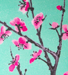 Cherry blossom grip tape detail 1